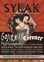 2014.08.10 - SYLAK OPEN AIR, Saint Maurice De Gourdans (France)